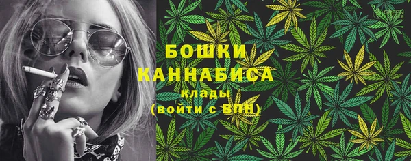 шишки Осташков