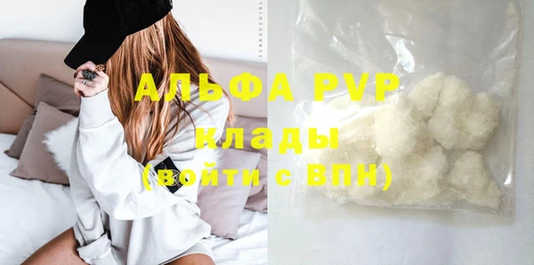 шишки Осташков