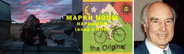 шишки Осташков