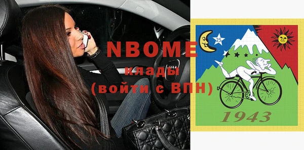 шишки Осташков