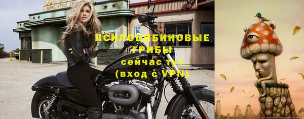 МДПВ Остров