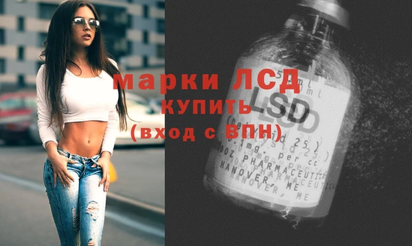 шишки Осташков