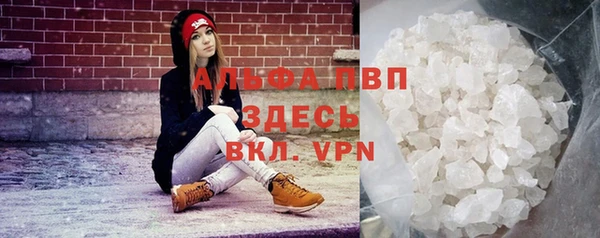шишки Осташков
