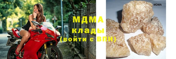 шишки Осташков