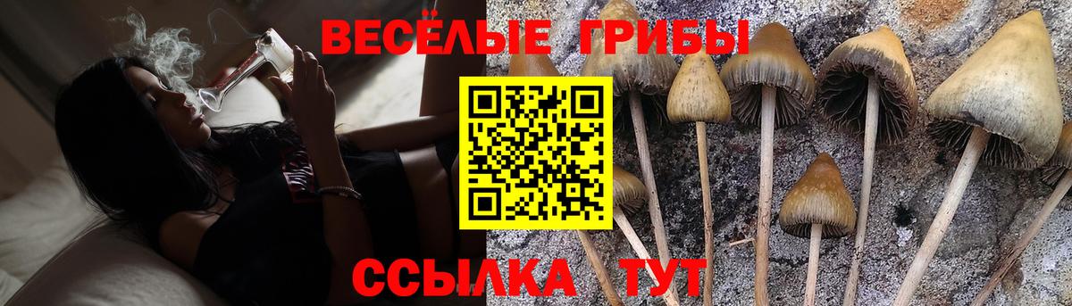 Псилоцибиновые грибы Cubensis  Борисоглебск 